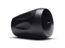 DL4-B/W